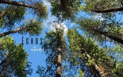 Echo's Ext