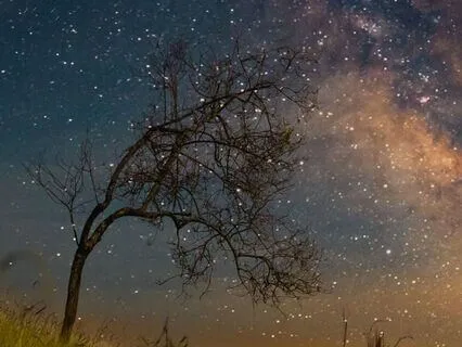 Eckhart Tolle Stories For Bed | GSP Ep 76