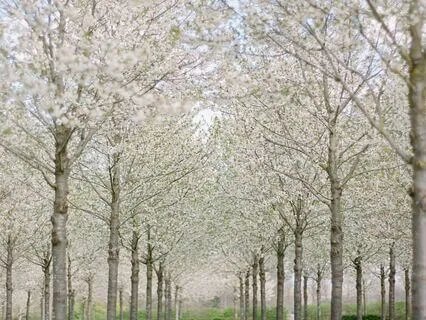 Eclipse And Ostara Portal Activation