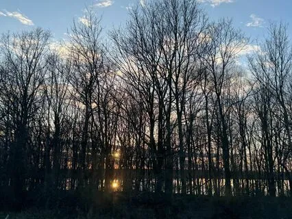 Eclipse + New Moon Sound Bath: Tranquility