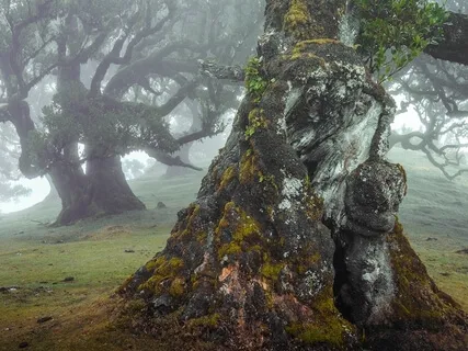 Eclipse Season: Goddess Maia