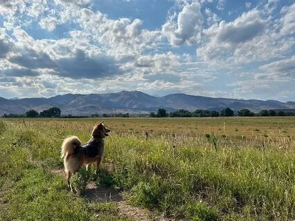 Eco, Not Ego (Affirmations And Upgrades)