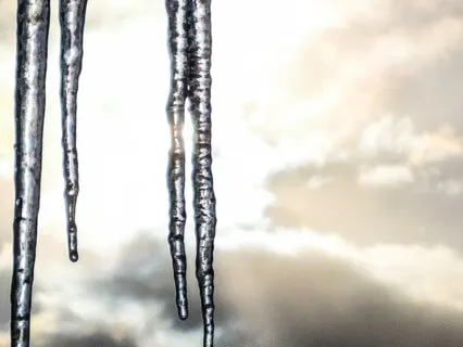 Eco-Somatic Meditation For Abolition