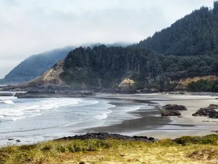 Ecotone Meditation, Honoring Overlapping Worlds & Identities