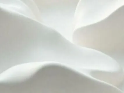 Eden Rose: Piano And Strings