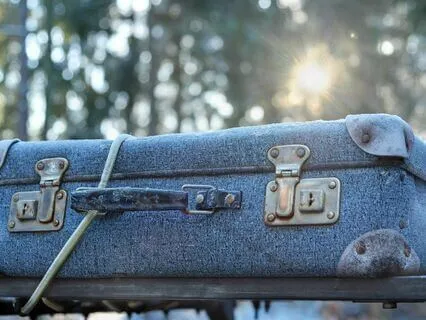 Edith Shay, Chapter 5