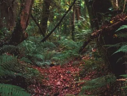 Eeyore And The Ghostly Tail: A Winnie-The-Pooh Bedtime Story