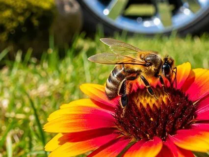 Effective Business Decisions