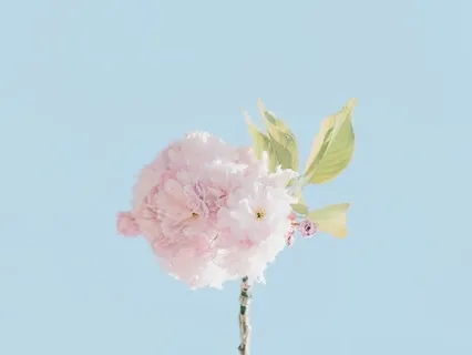 Effortless Awareness 