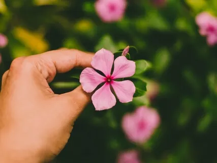 Effortless Awareness: The Technique Of No-Technique