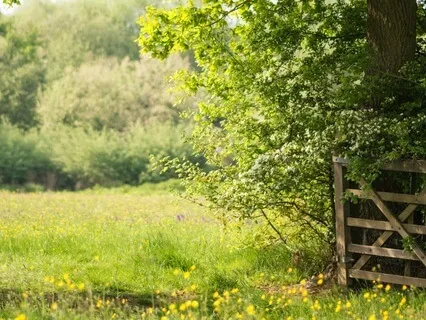 Effortless Decision Making