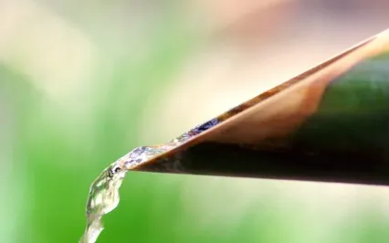 Effortless Flow Meditation