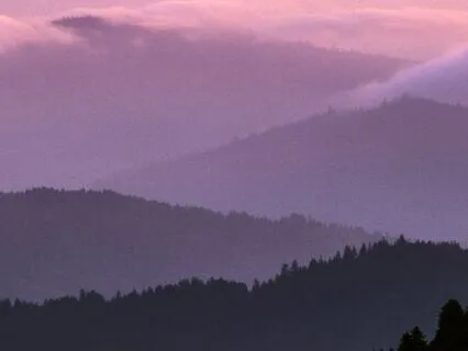 Effortless Focus: Alpha Waves For Clarity & Flow