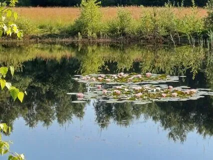 Effortless Meditation 1