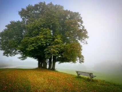 Effortless Non-Sleep Deep Rest For Clarity