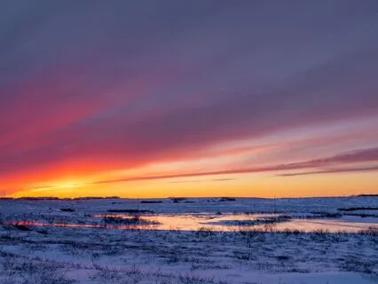 Effortless Presence: Nurturing Stillness - Meditation 88