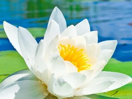 Effortless Relaxation: Anti-Anxiety Meditation