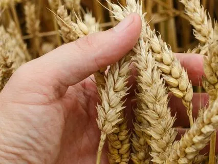 EFT Empowerment Prosperity & Abundance