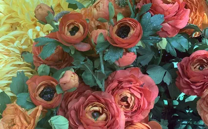 EFT For Aging/End Of Life