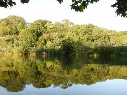 EFT For Difficulties Of Decision Making