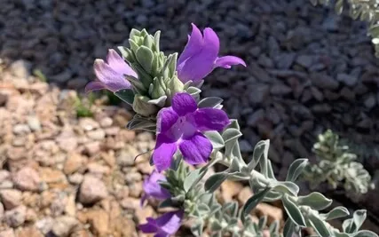 EFT For Giving|Receiving