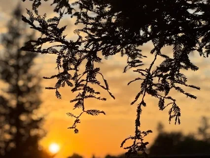 EFT For Parents Of Adults That Struggle