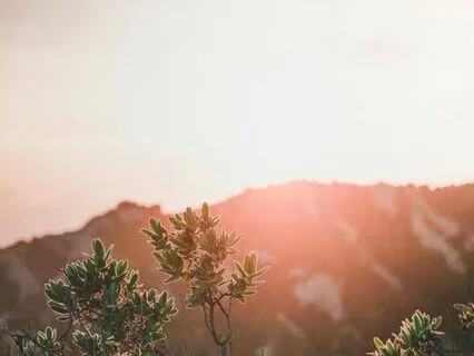 EFT For Post-Election Shock, Grief, Anger And Fear