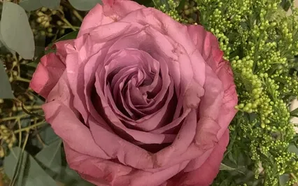 EFT For Releasing Anxiety