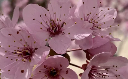 EFT For Self-Love And Acceptance