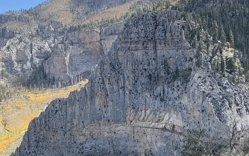 EFT On Releasing Shame/Self-Blame