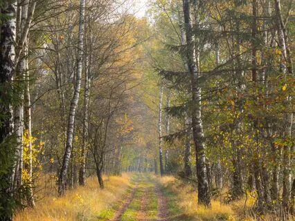 EFT Tapping And Visualization For Letting Go