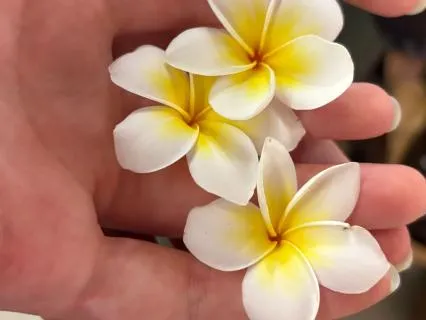 EFT Tapping: Clearing The Scarcity Pattern