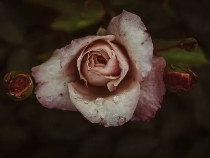 EFT Tapping For A Restful Sleep