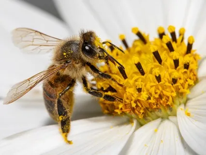 EFT Tapping For Allowing Abundance