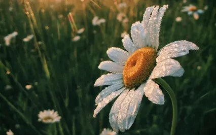 EFT Tapping For Anxiety