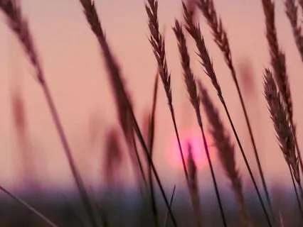 EFT Tapping For Easing Overwhelm