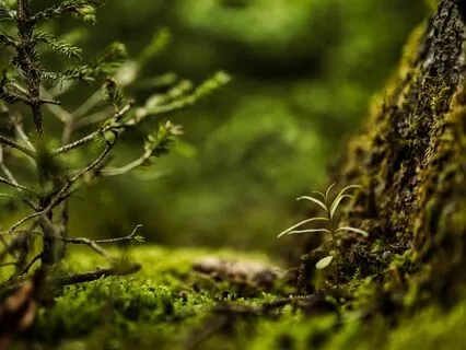 EFT Tapping For Feeling Grounded & Stable