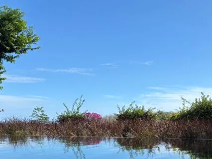 EFT Tapping For Insomnia & Preparing To Rest