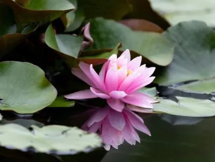 EFT Tapping For Perfectionism: You Are Already Enough
