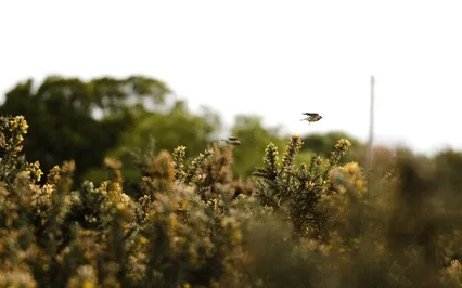 EFT Tapping For Releasing Anger & Frustration