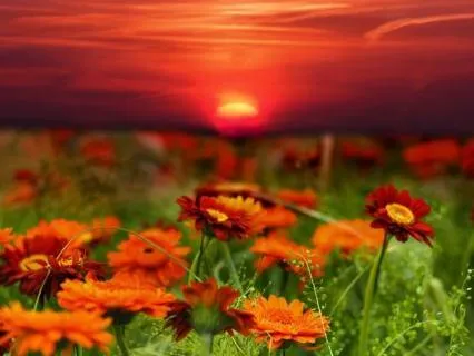EFT Tapping For Self-Worth — You Are Enough
