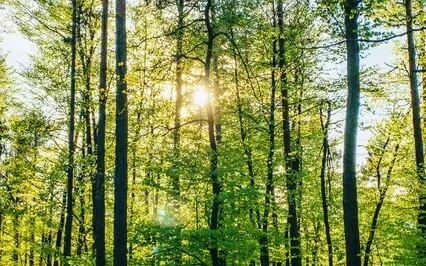 EFT Tapping For Self Worth