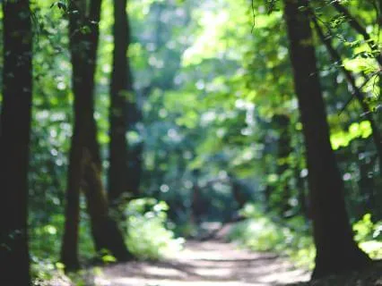 EFT Tapping For Trust And Letting Go