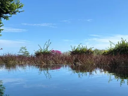 EFT Tapping: From Fear To Flow