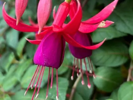 EFT Tapping: I Am Worthy Of This