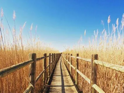 Feeling Safe And Secure In An Uncertain World