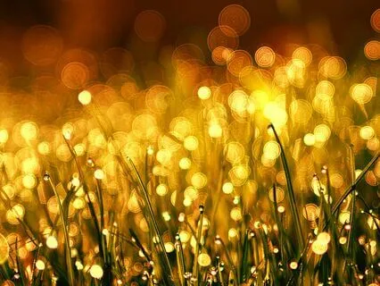 EFT Tapping Meditation For Morning Vitality