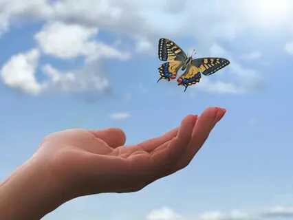 EFT Tapping Meditation For Releasing Body Fat Armour