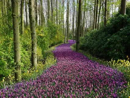 EFT Tapping Meditation: From Frustration To Satisfaction