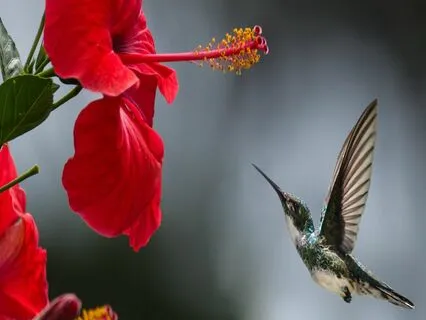 EFT Tapping Meditation: I Am Enough